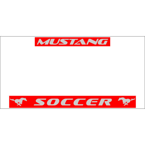 CHROME LICENSE PLATE Thumbnail